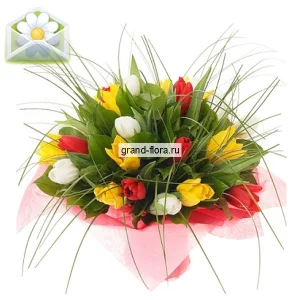 Сюзанна Сюзанна