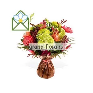 Текила-Джаз Текила-Джаз